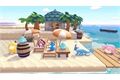 Nintendo SW2 Pokémon Pokopia