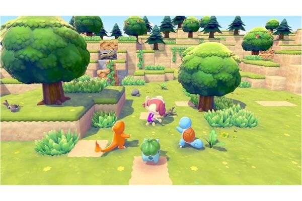 Nintendo SW2 Pokémon Pokopia
