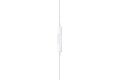 Apple EarPods (Lightning) B-Ware