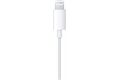 Apple EarPods (Lightning) B-Ware