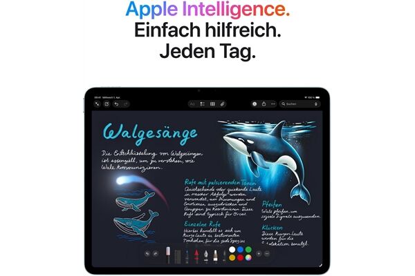 Apple iPad Air 13" (256GB) WiFi