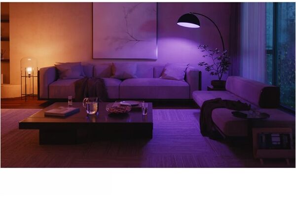 hue White & Col. Amb. E27 1100 2er