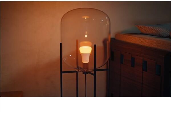 hue White & Col. Amb. E27 1100