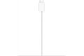 Apple MagSafe Ladegerät (1m)