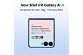 Samsung Galaxy Z Flip7 (256GB) DE