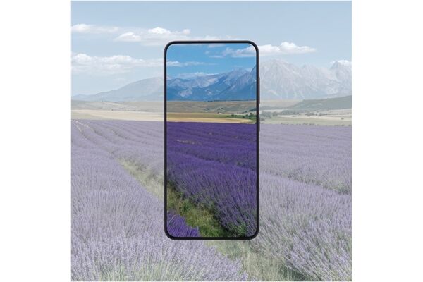 Hama Schutzglas Extreme Protect für Galaxy A37 5G