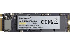 Intenso MI500 M.2 (1TB) (schwarz)