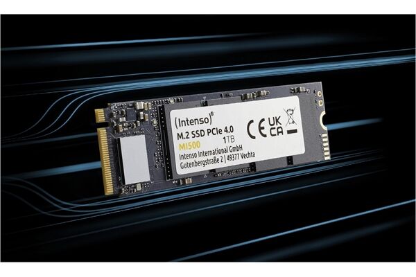 Intenso MI500 M.2 (1TB)