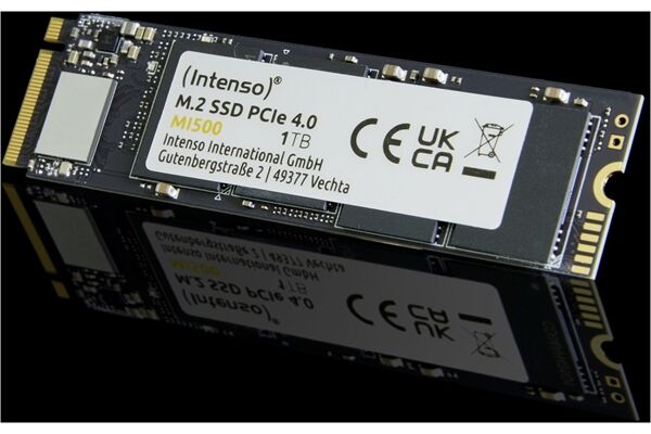 Intenso MI500 M.2 (1TB)