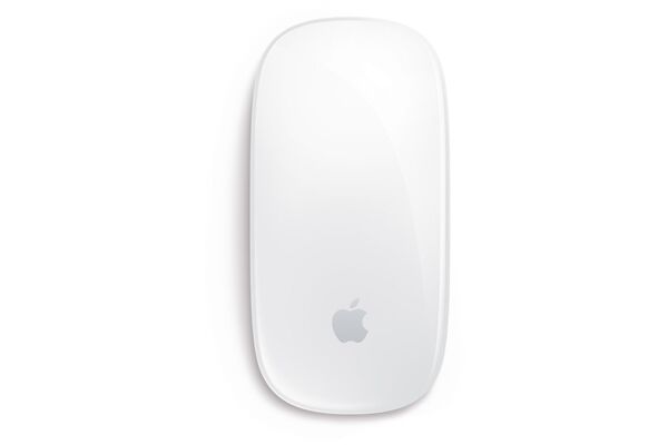 Apple Magic Mouse.