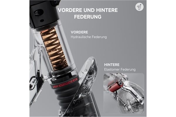 Ninebot by Segway KickScooter F3 Pro D