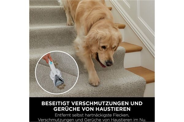 SHARK PX200EUT StainStriker