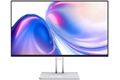 Lenovo L24-4C B-Ware