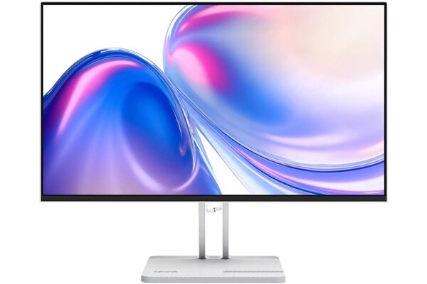 Lenovo L24-4C B-Ware