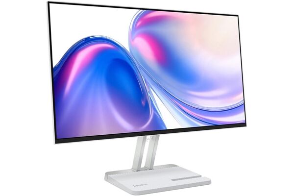Lenovo L24-4C B-Ware