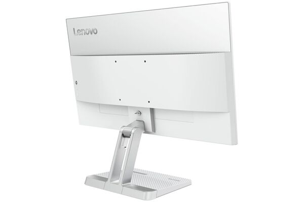 Lenovo L24-4C B-Ware