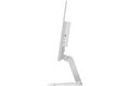 Lenovo L24-4C B-Ware
