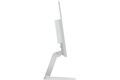 Lenovo L24-4C B-Ware
