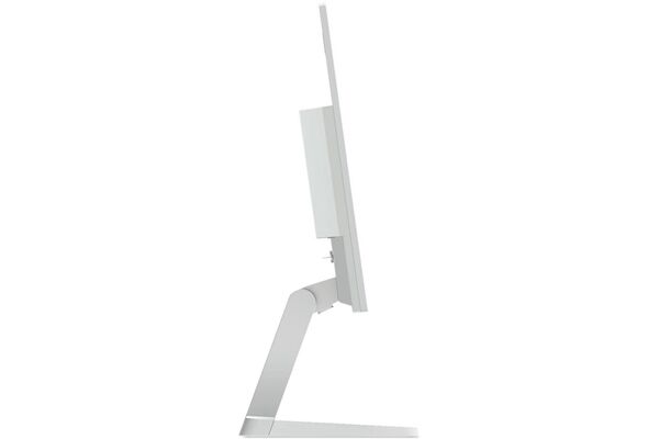 Lenovo L24-4C B-Ware