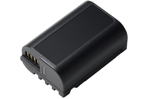 Panasonic DMW-BLK22E - Kamera-Akku - Schwarz