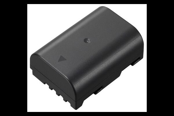 Panasonic DMW-BLF19 - 1860 mAh - 7,2 V - Lithium-I