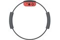 CD-Lieferant Ring Fit Adventure