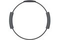 CD-Lieferant Ring Fit Adventure