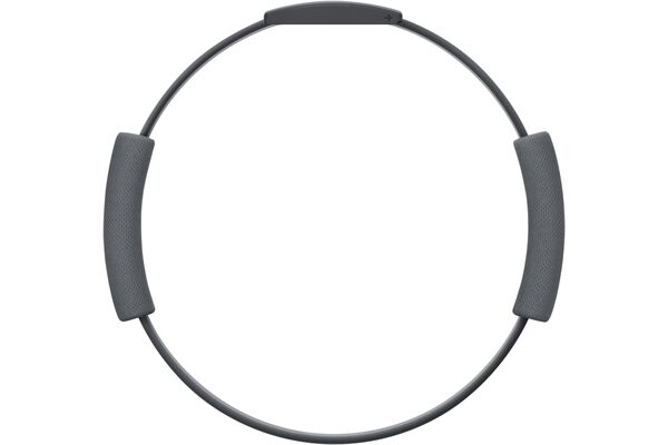 CD-Lieferant Ring Fit Adventure