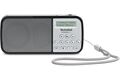 Technisat TechniRadio RDR silber