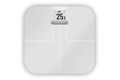 Garmin Index S2 Smart Scale