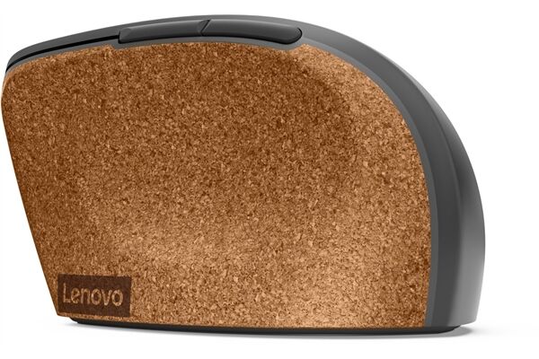 Lenovo Go