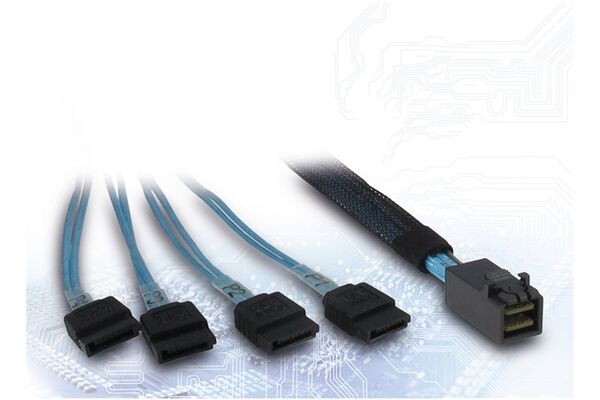 Inter-Tech SFF-8643 > 4x SATA Kabel (0,5m)