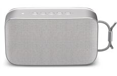 Technisat BluSpeaker TWS XL (grau)