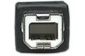 Manhattan Hi-Speed USB B Anschlusskabel - USB 2.0