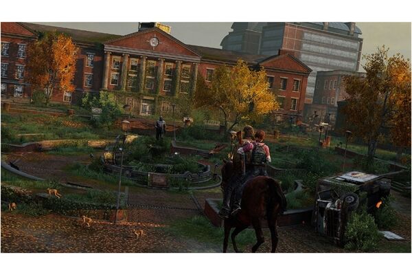 CD-Lieferant The Last of Us Remastered (PS4) ak Plays