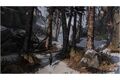 CD-Lieferant The Last of Us Remastered (PS4) ak Plays