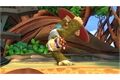 CD-Lieferant Donkey Kong Country: Tropical Freeze (Sw