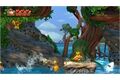 CD-Lieferant Donkey Kong Country: Tropical Freeze (Sw