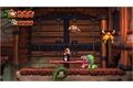 CD-Lieferant Donkey Kong Country: Tropical Freeze (Sw