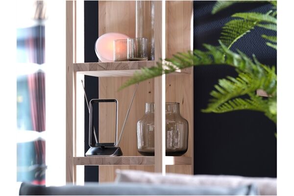 One For All SV9465 DVB-T Automatic Gain Control 5G