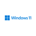 Windows 11